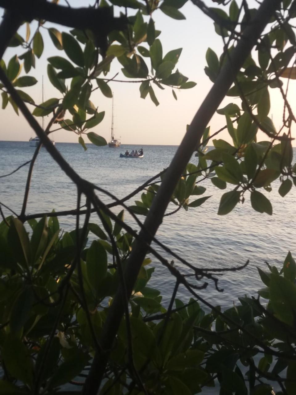 Ecohotel Arte Y Aventura Isla Grande  Exterior photo